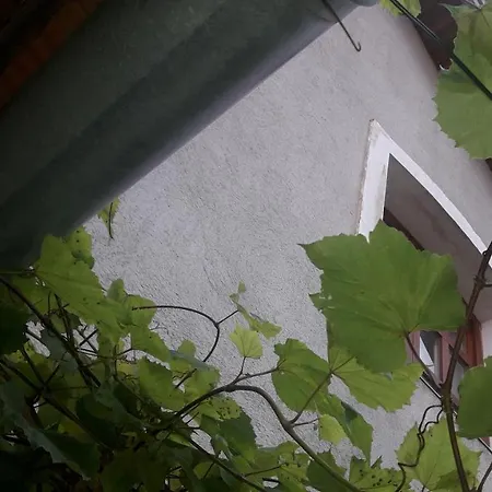 Appartement Hovirag Vendeghaz *